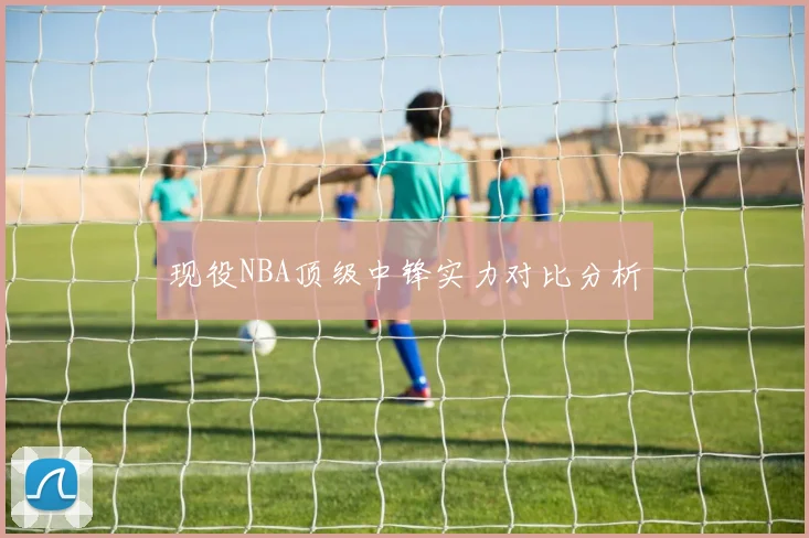 现役NBA顶级中锋实力对比分析