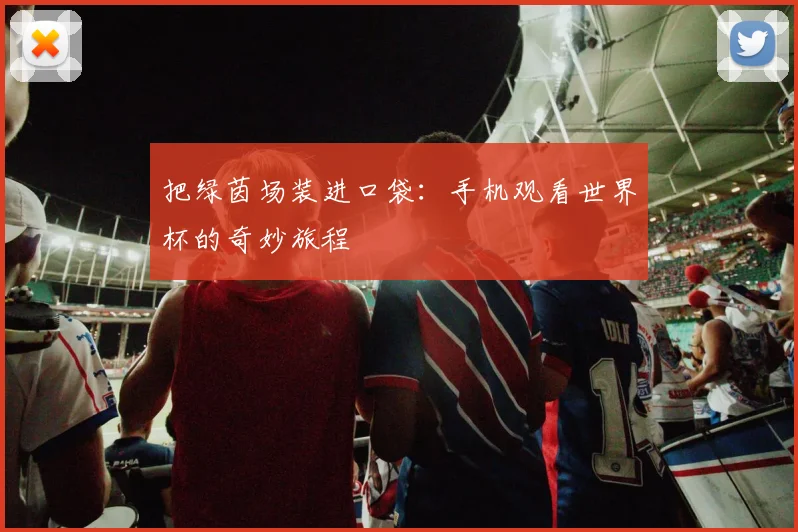 把绿茵场装进口袋：手机观看世界杯的奇妙旅程
